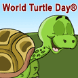 World Turtle Day® Fun Wish.
