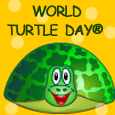 Having Fun On World Turtle Day®!
