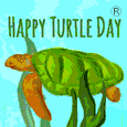 Happy Turtle Day®. At Your Own Pace!