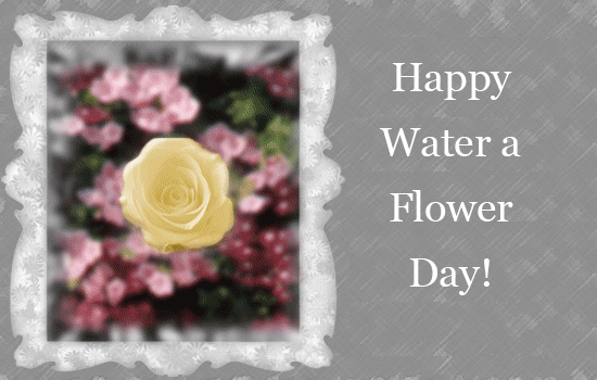 Water a Flower Day.