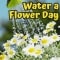 Water a Flower Day