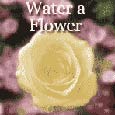 Water a Flower Day.