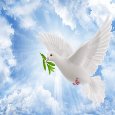 A Blessed Whit Monday To Your Family.
