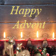 Holy Day Of Advent...