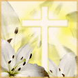 Divine Grace...