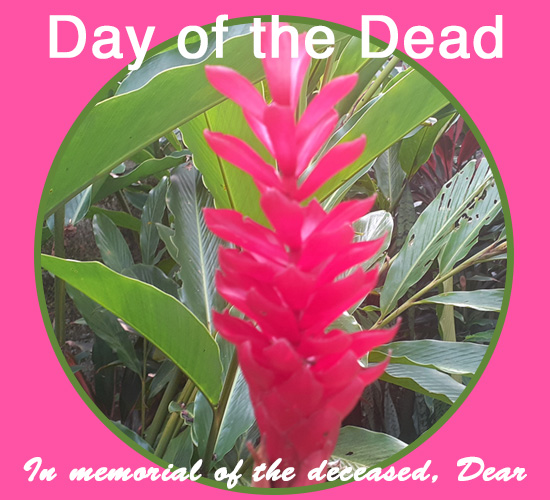 Day Of The Dead, Pink Flower.