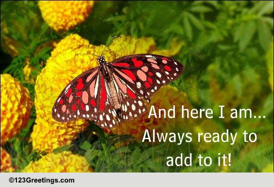 Happiness For You...