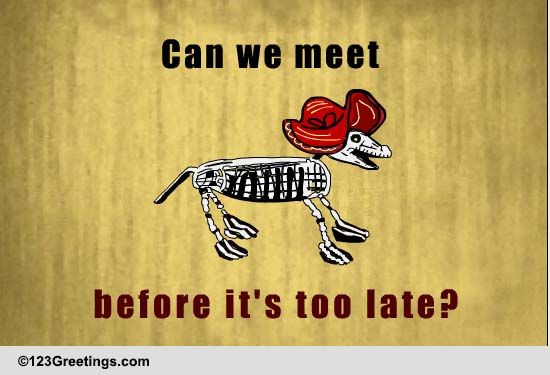 Can We Meet...