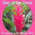 Day Of The Dead, Pink Flower.
