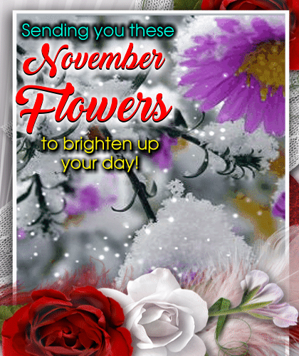 Sending You November Flowers