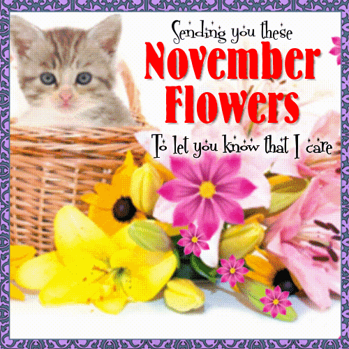 Sending You These November Flowers.