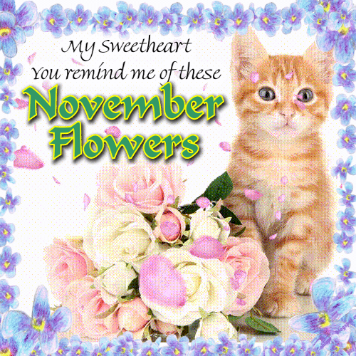 A Sweet November Flowers Message.