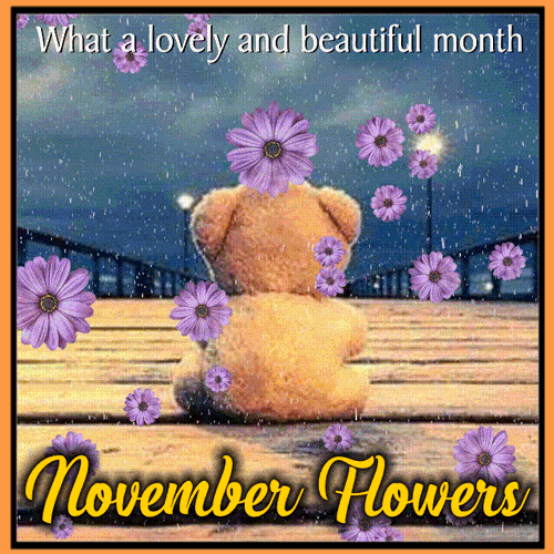 Lovely And Beautiful November Flowers