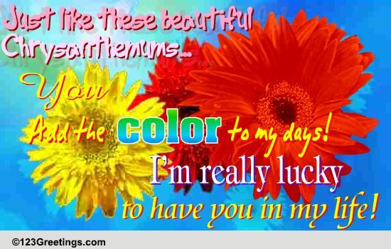 You Add Color To My Days...