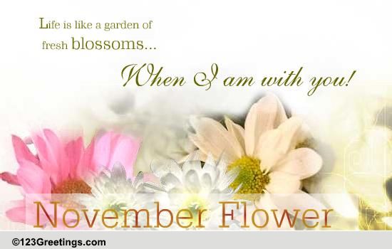 A Garden Of Fresh Blossoms...