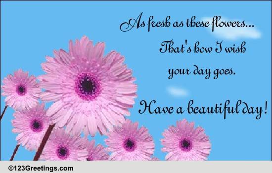 Have A Beautiful Day...
