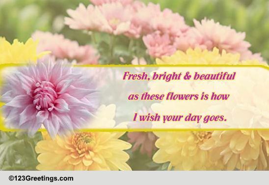 A Bright And Beautiful Day!