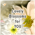 A Garden Of Fresh Blossoms...