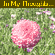 You Are In My Thoughts...