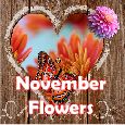 Enjoy The Charm Of November!
