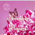 Sending Love With November Flowers!