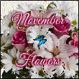 Beautiful Bright November Flowers!