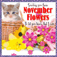 Sending You These November Flowers.