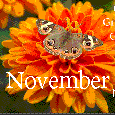 Month Of Gratitude!