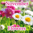 Colorful Day &#x26; Colorful November!