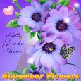 Hello November Flowers Card For You.