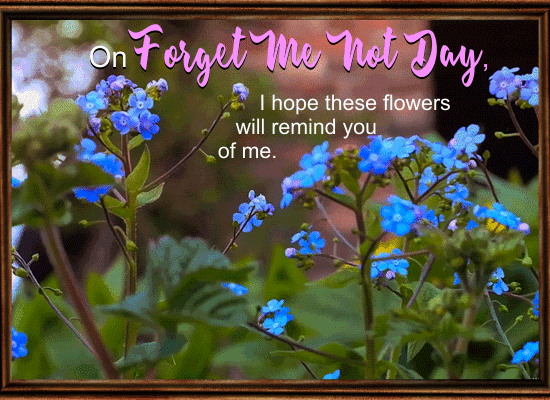 These Flowers Will Remind You....