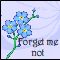 Forget Me Not Friend!