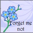 Forget Me Not Friend!