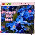 Remember Always To Forget Me Not.