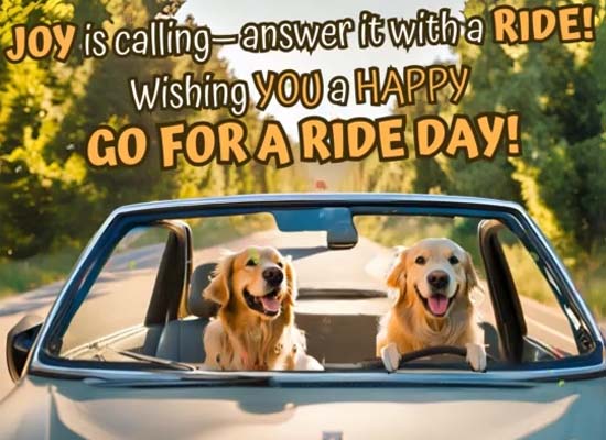 Joy Is Calling!