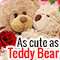 As Cute As Teddy Bear.