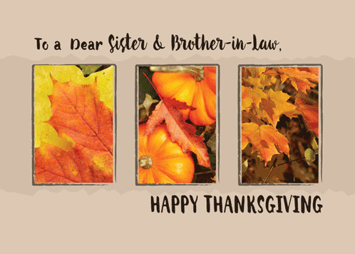 Thanksgiving Three Leaves.