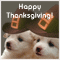 Thanksgiving Ecard!