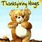 Teddy Hugs For Thanksgiving!