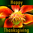 Family Thanksgiving!