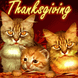 Bounty Of Thanksgiving Wishes!