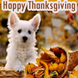 Wonderful Thanksgiving Wishes!
