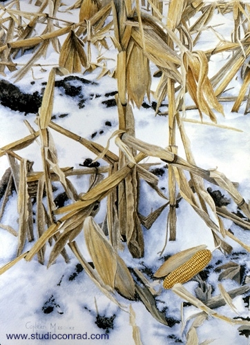 Corn In The Snow.