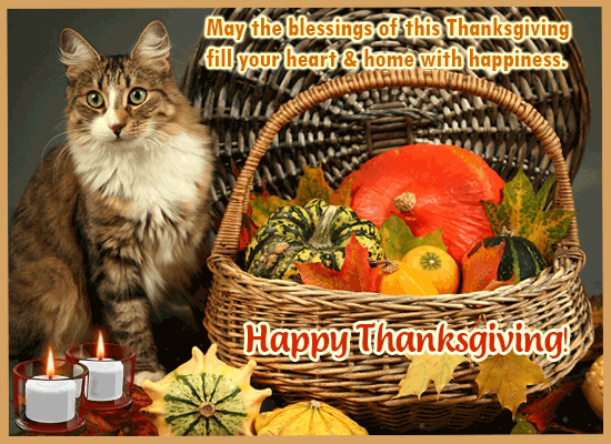 Thanksgiving Blessings For A Friend!
