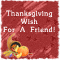A Warm Friendship Thanksgiving Wish!