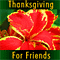 Thanksgiving For Friends!