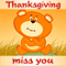 Thanksgiving Miss You!
