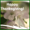 A Floral Thanksgiving Wish!