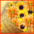 A Cornucopia Of Happiness...