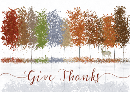 Give Thanks Thanksgiving Trees.